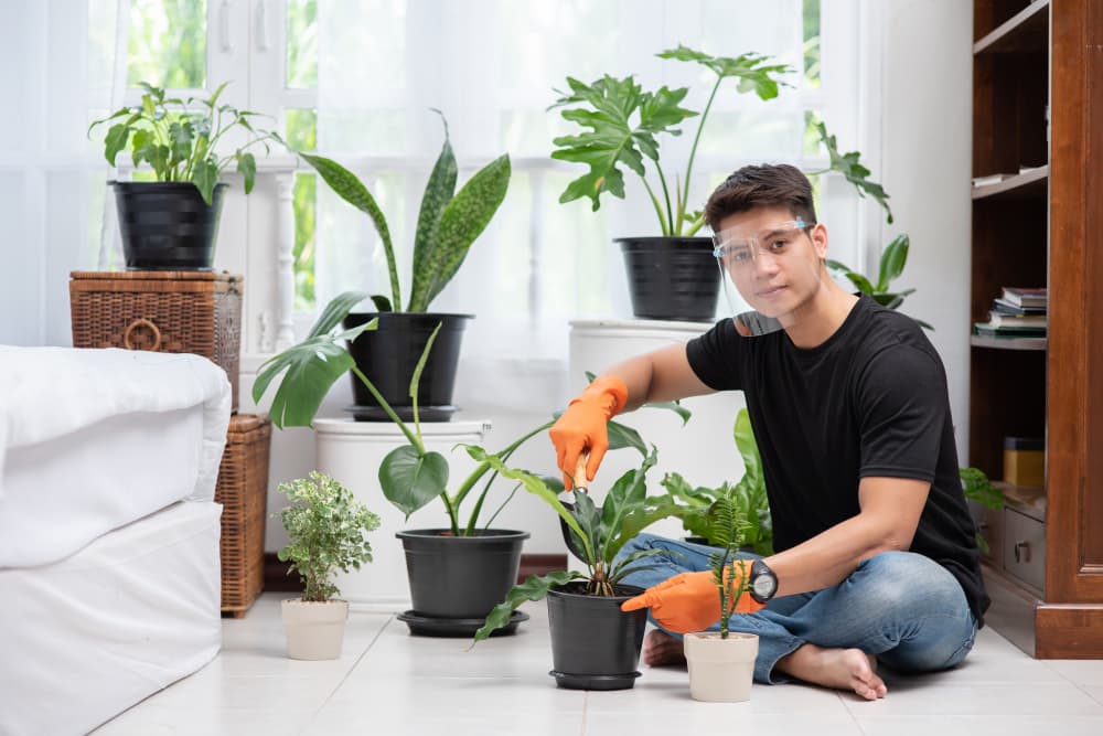 Gardening has been a lifelong hobby and inspiration behind House Tweaks.